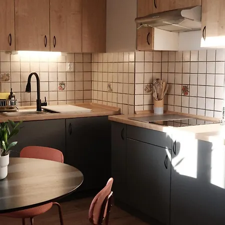 Cosy Castle Flat - Dressing - Free Parking Laibach